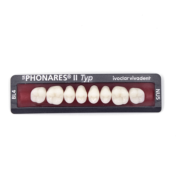 Зубы боковые верхние  SR Phonares II Typ set of 8 NU5 BL4 645383 купить