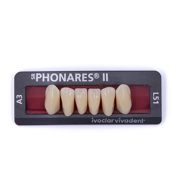 Зубы фронтальные нижние  SR Phonares II Ant. set of 6 L51 A3 645186 купить