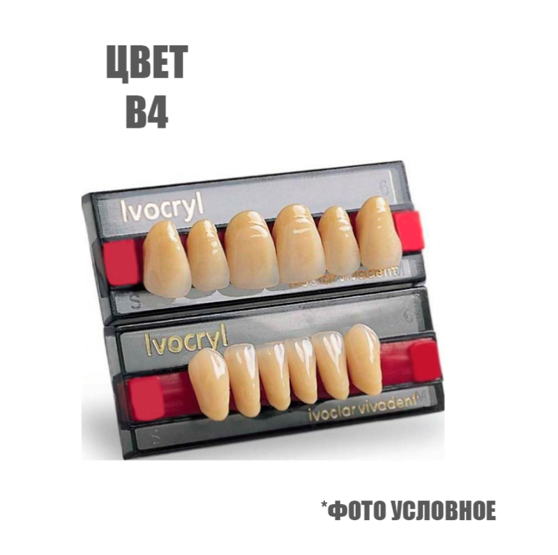 Зубы искуственные Set of 6 В4 03 купить