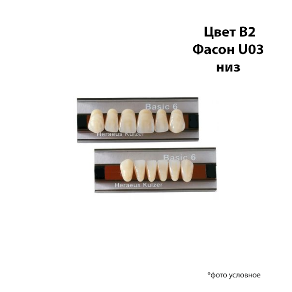 Зубы Basic 6 цвет В2 фасон U03 низ купить