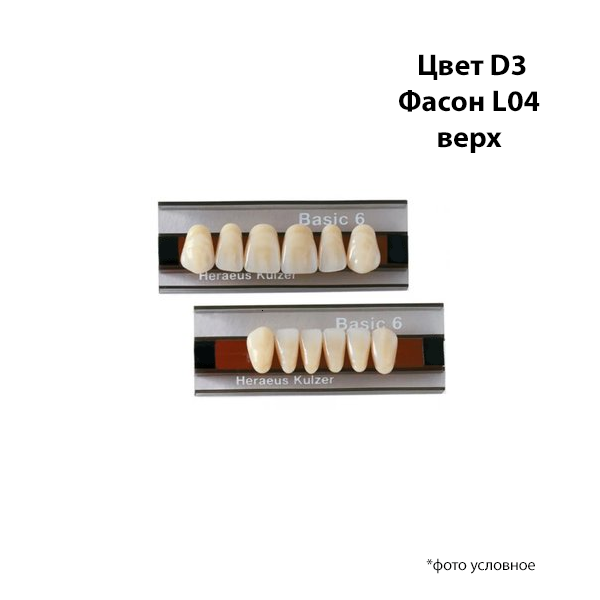 Зубы Basic 6 цвет Д3 фасон L04 верх купить