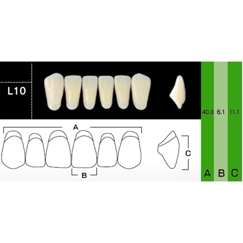 Зубы акриловые New Ace & Naperce цвет А2 фасон TL5/M33 28шт купить