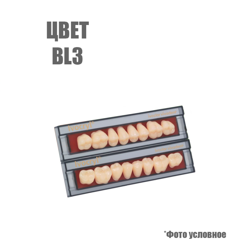 Зубы искуственные боковые верхние Ivoclar Set of 8 U OK32O BL3 купить