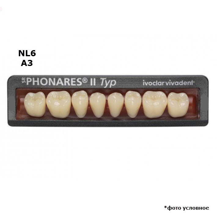 Зубы боковые нижние  SR Phonares II Typ set of 8 NL6 A3 645466 купить