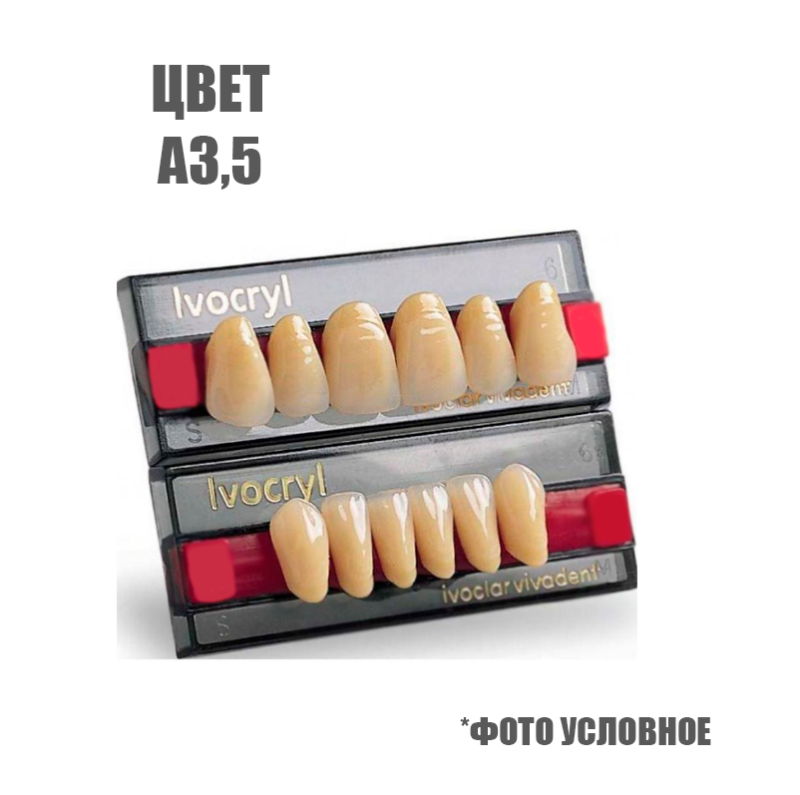 Зубы искуственные Set of 6 А3,5 05 купить