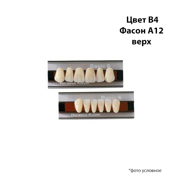 Зубы Basic 6 цвет В4 фасон A12 верх купить