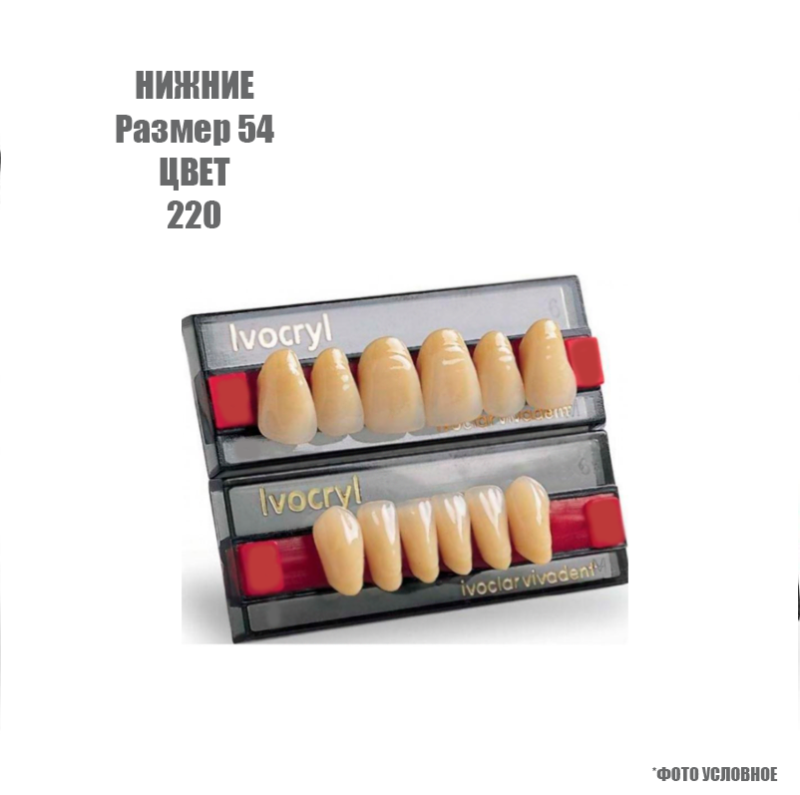 Зубы искуственные фронтальные нижние Ivoclar Set of 6 L UK54 220 купить
