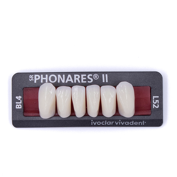 Зубы фронтальные нижние  SR Phonares II Ant. set of 6 L52 BL4 645203 купить