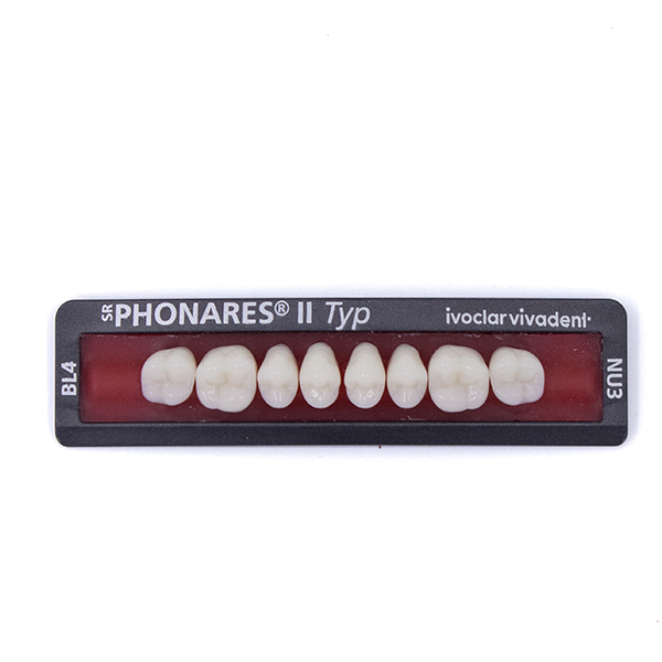 Зубы боковые верхние  SR Phonares II Typ set of 8 NU3 BL4 645363 купить