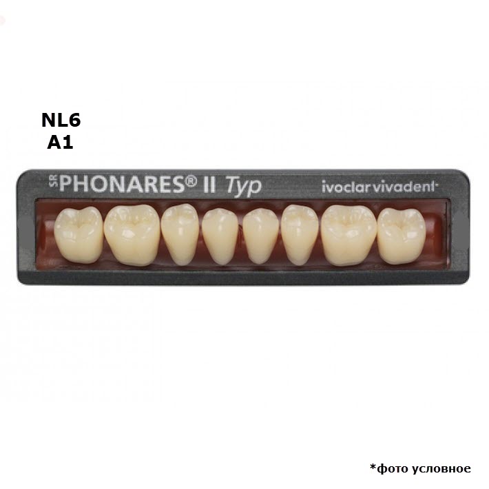 Зубы боковые нижние  SR Phonares II Typ set of 8 NL6 A1 645464 купить