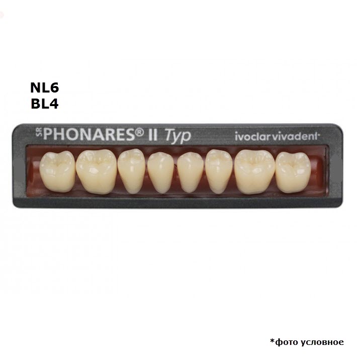 Зубы боковые нижние  SR Phonares II Typ set of 8 NL6 BL4 645463 купить