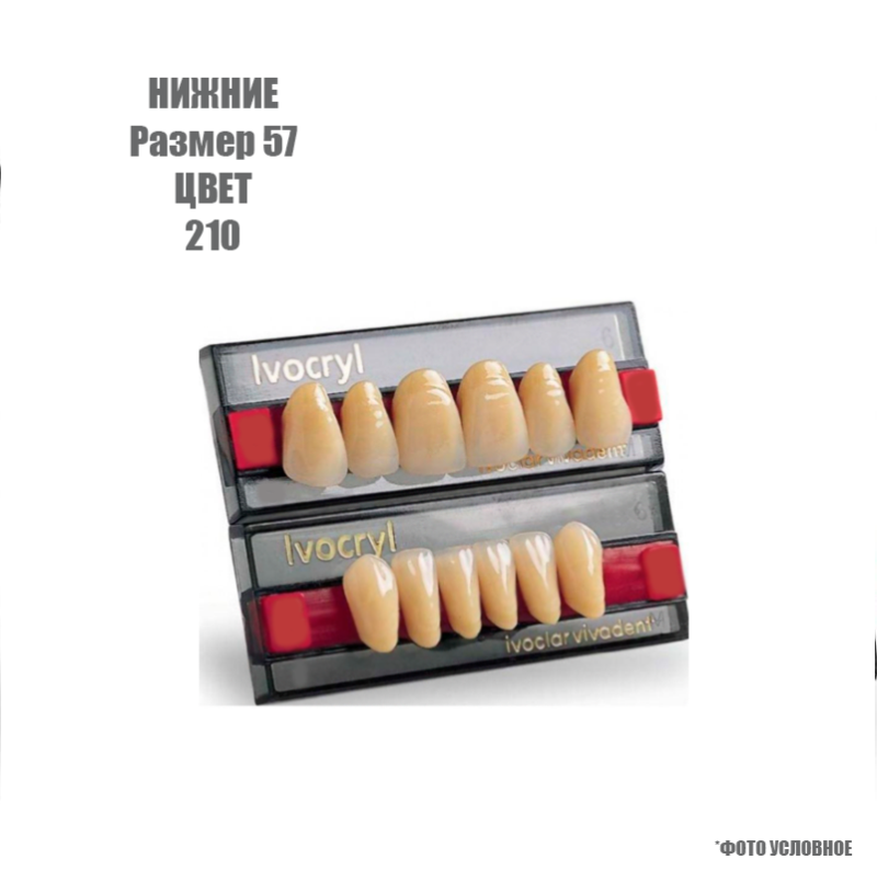 Зубы искуственные фронтальные нижние Ivoclar Set of 6 L UK57 210 купить