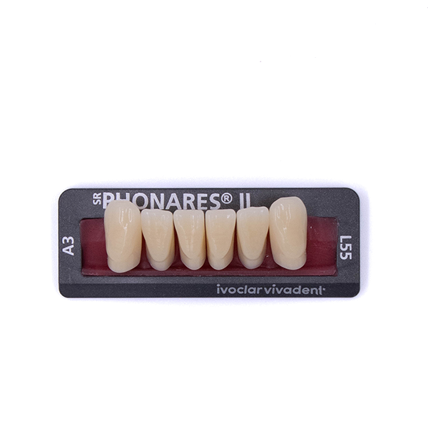 Зубы фронтальные нижние  SR Phonares II Ant. set of 6 L55 A3 639888 купить