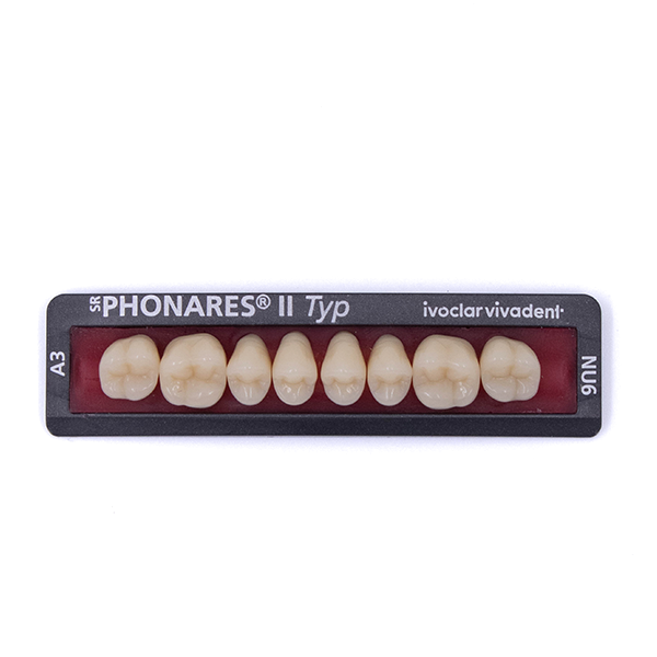 Зубы боковые верхние  SR Phonares II Typ set of 8 NU6 A3 645406 купить