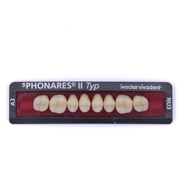 Зубы боковые верхние  SR Phonares II Typ set of 8 NU3 A3 645366 купить