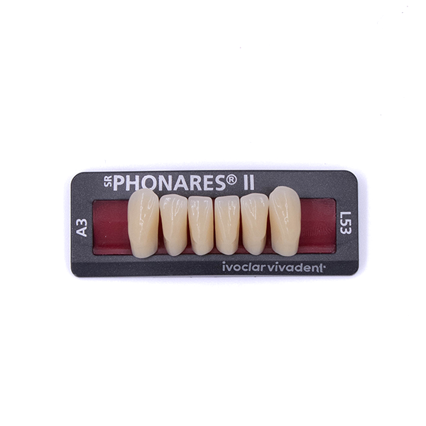 Зубы фронтальные нижние  SR Phonares II Ant. set of 6 L53 A3 645226 купить