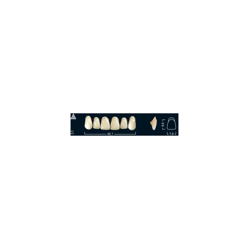 Зубы искуственные фронтальные верхние Ivoclar Set of 6 U OK31 A2 купить