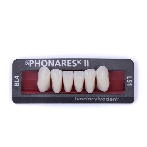 Зубы фронтальные нижние  SR Phonares II Ant. set of 6 L51 BL4 645183 купить