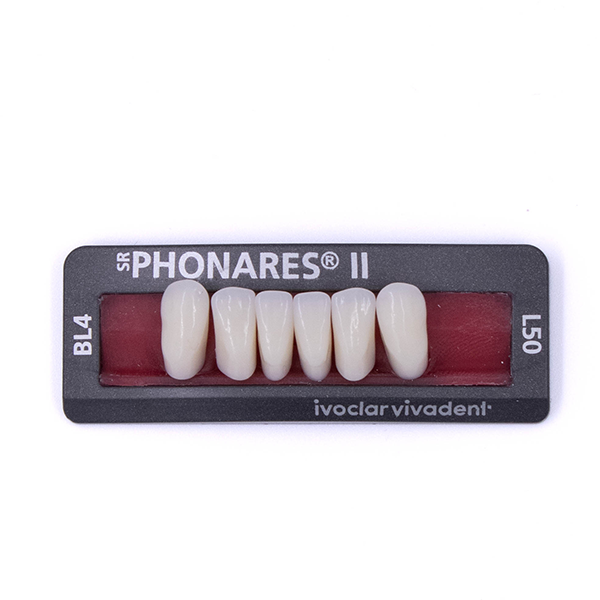 Зубы фронтальные нижние  SR Phonares II Ant. set of 6 L50 BL4 645163 купить