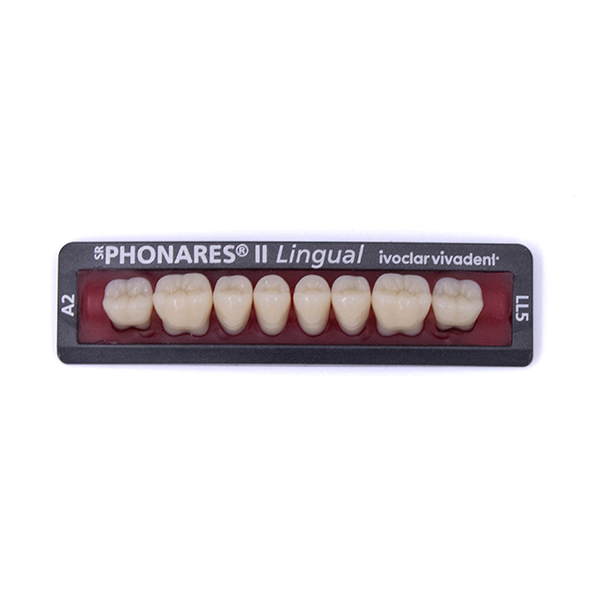 Зубы боковые нижние  SR Phonares II Lingual set of 8 LL5 A2 645325 купить