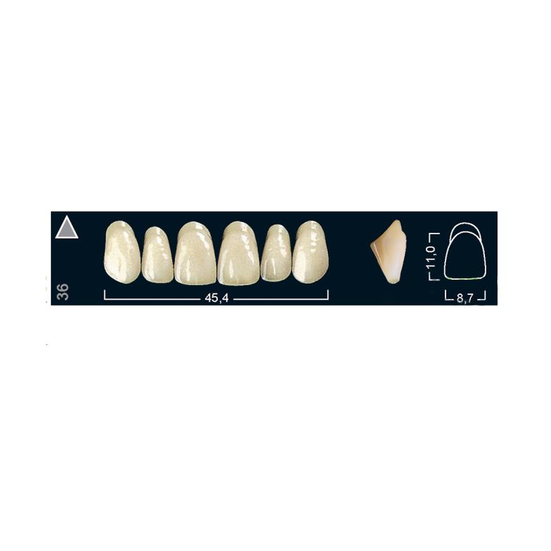 Зубы искуственные фронтальные верхние Ivoclar Set of 6 U OK36 B3 купить
