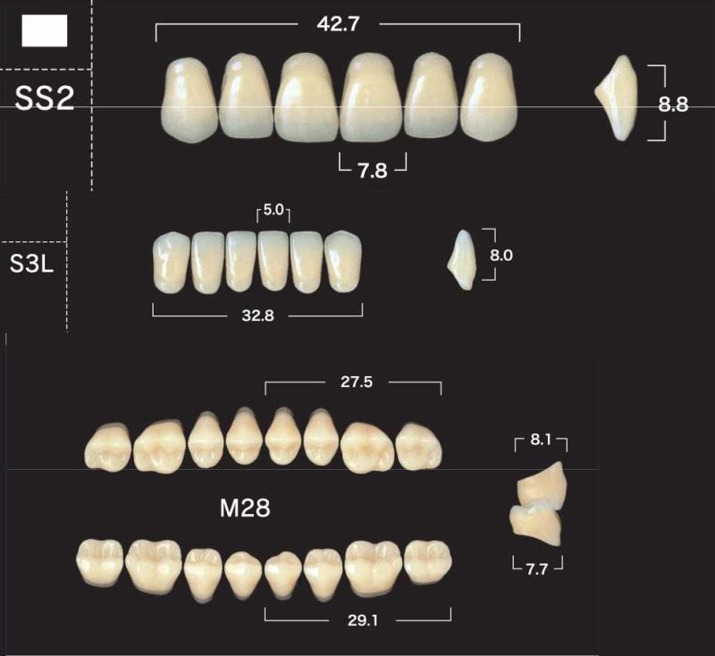 Зубы акриловые New Ace & Naperce цвет А3 фасон T3/M32 28шт купить