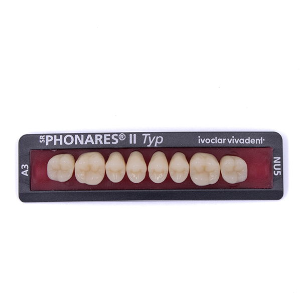 Зубы боковые верхние  SR Phonares II Typ set of 8 NU5 A3 645386 купить