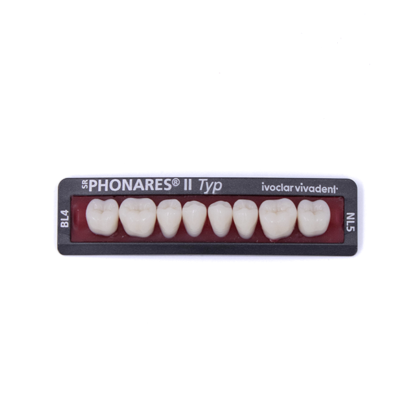 Зубы боковые нижние  SR Phonares II Typ set of 8 NL5 BL4 645443 купить